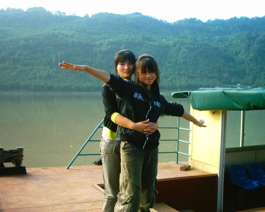 2006  (54)